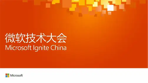 Windows 驱动程序开发指导说明书