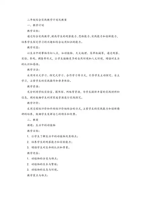 二年级综合实践教学计划及教案