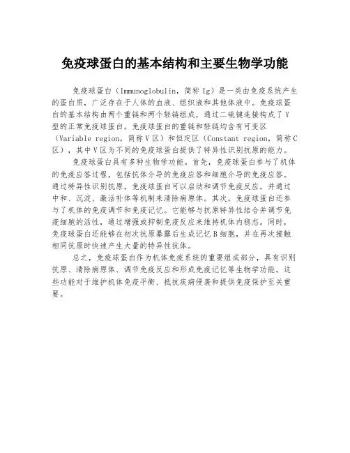 免疫球蛋白的基本结构和主要生物学功能