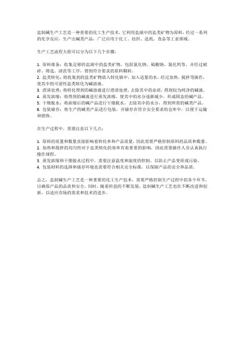 盐制碱生产工艺