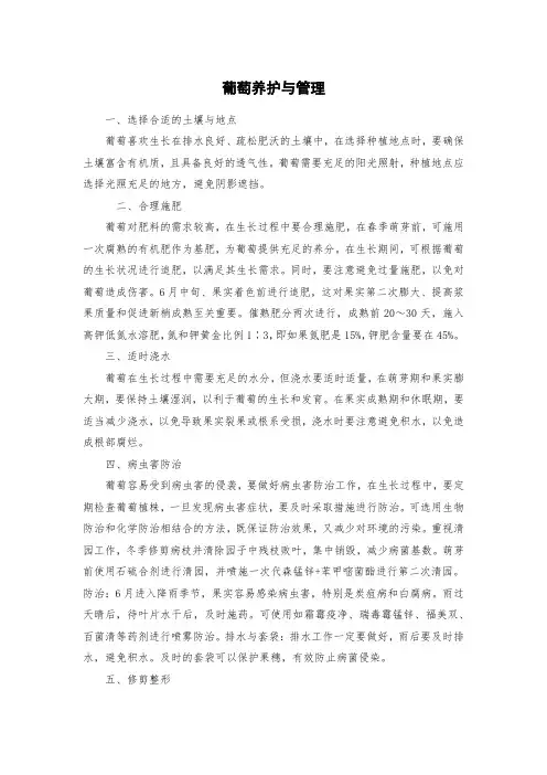 葡萄养护与管理