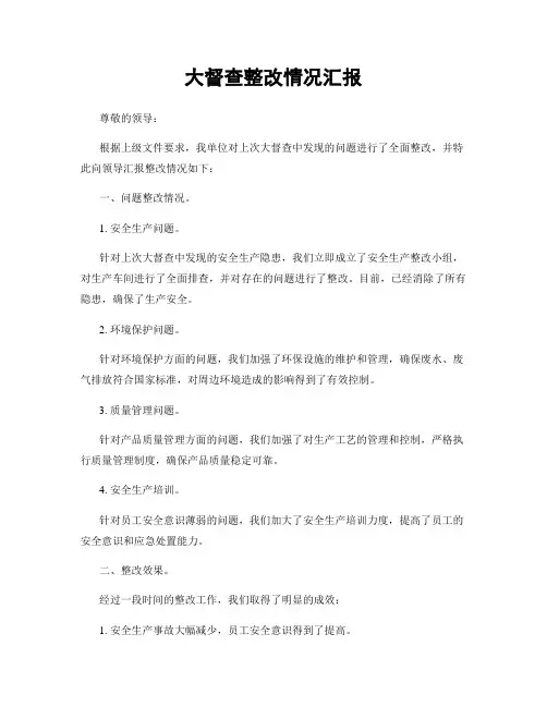 大督查整改情况汇报