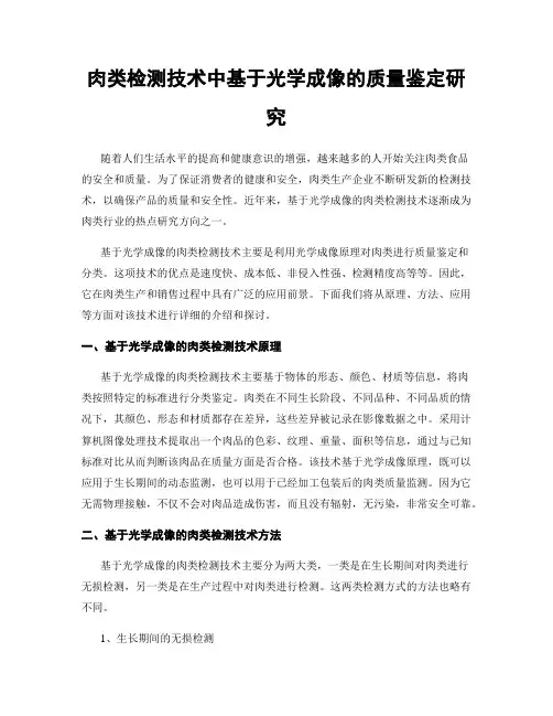肉类检测技术中基于光学成像的质量鉴定研究