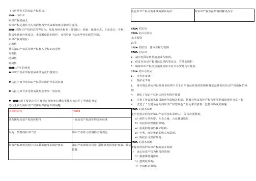 与贸易有关的知识产权协议》.ppt.Convertor
