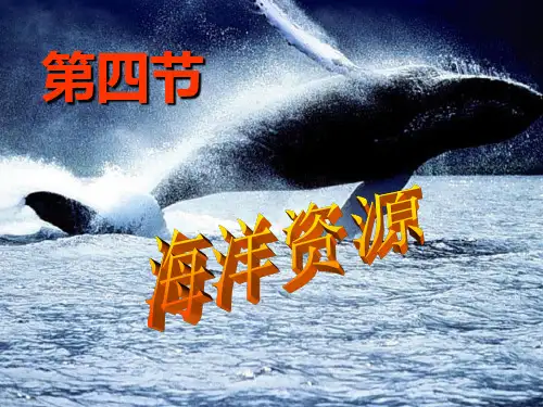 湘教版八年级地理(上)中国的海洋资源