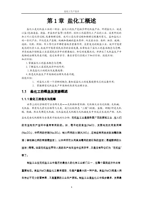 盐化工概述样章