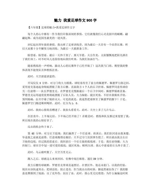 魅力 我爱足球作文900字