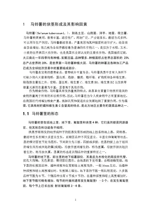 马铃薯的块茎形成及其影响因素