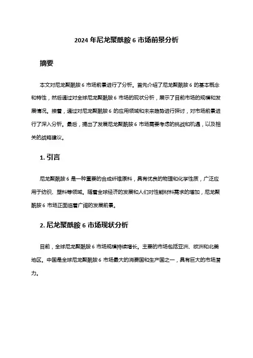 2024年尼龙聚酰胺6市场前景分析