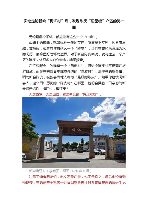 实地走访新会“梅江村”后，发现陈皮“殿堂级”产区的另一面