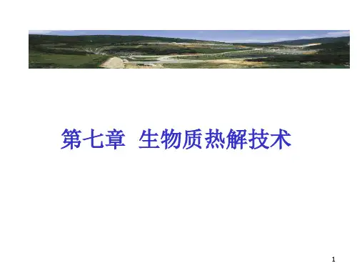 固体废物--第七章-生物质热解技术