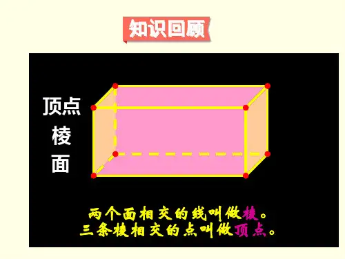 六上数学课件(苏教版)-图形王国
