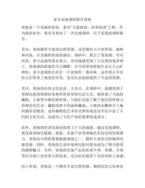 家乡实地调研报告青海