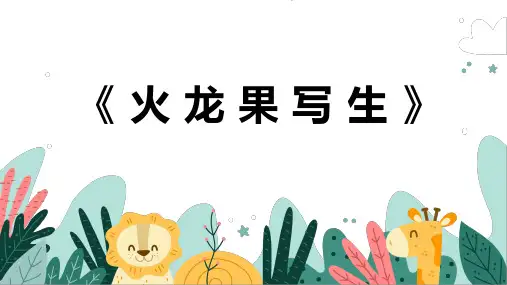 《火龙果写生》幼儿园小学少儿美术教育绘画课件创意手工教程教案PPT模板
