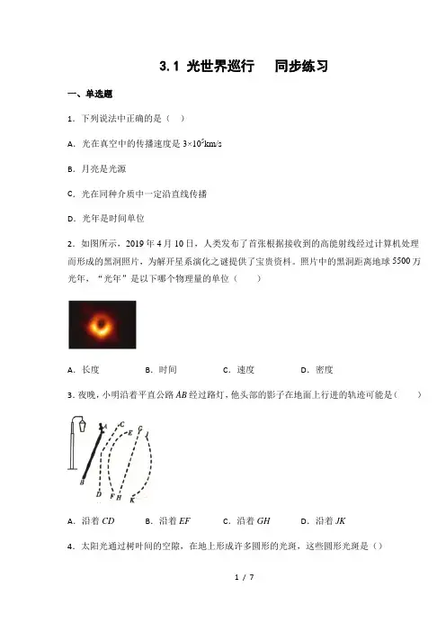 沪粤版 八年级物理上册3.1光世界巡行 练习(有答案)