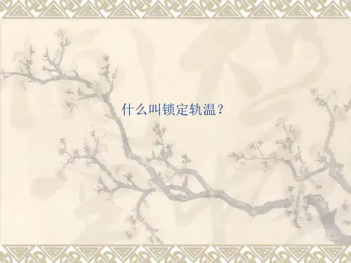 锁定轨温名词解释