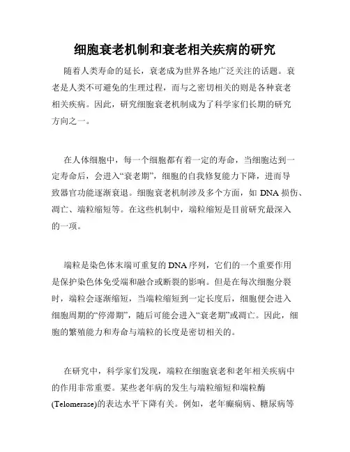 细胞衰老机制和衰老相关疾病的研究