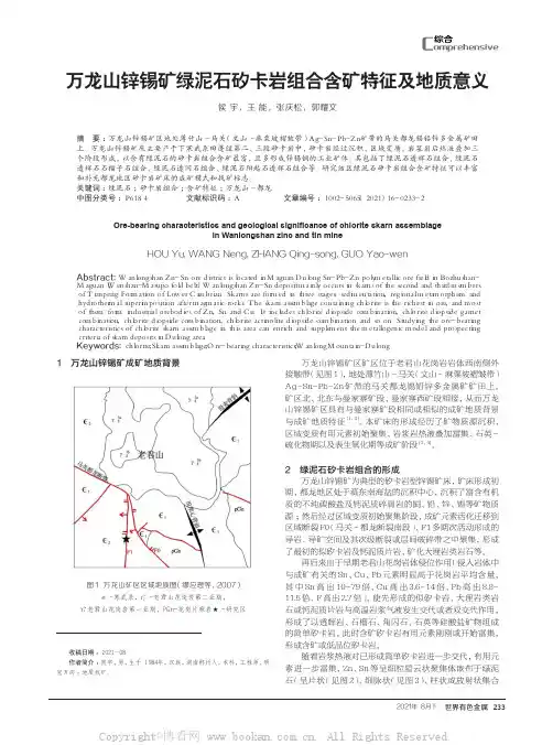 万龙山锌锡矿绿泥石矽卡岩组合含矿特征及地质意义