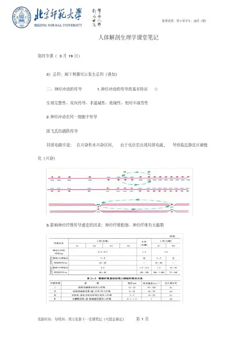 人体解剖生理学课堂笔记——第四节课.pdf
