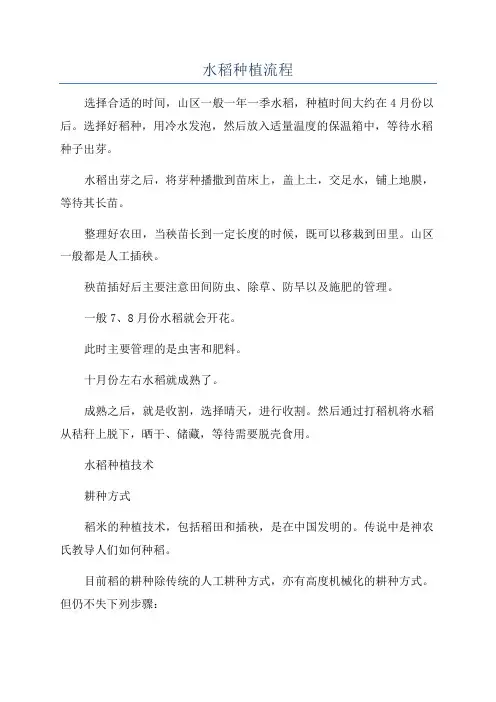水稻种植流程