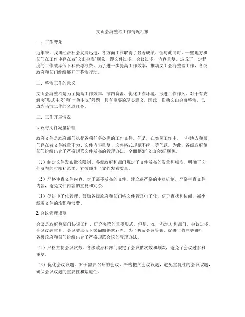 文山会海整治工作情况汇报