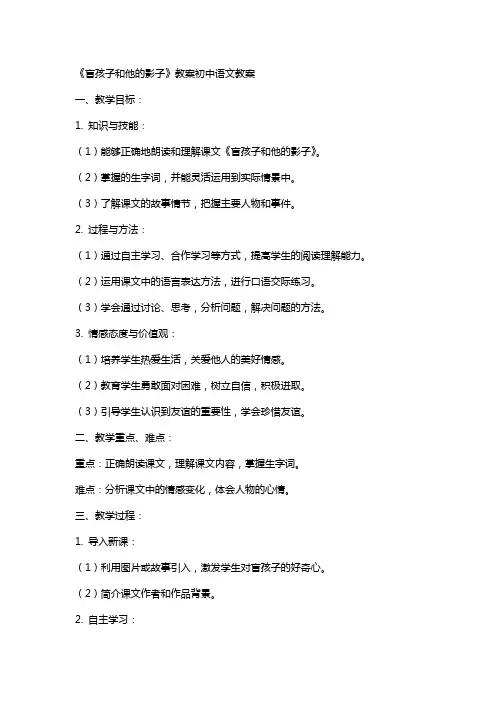 《盲孩子和他的影子》教案初中语文教案