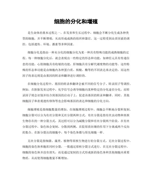 细胞的分化和增殖