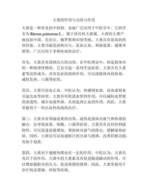 大黄的作用与功效与作用