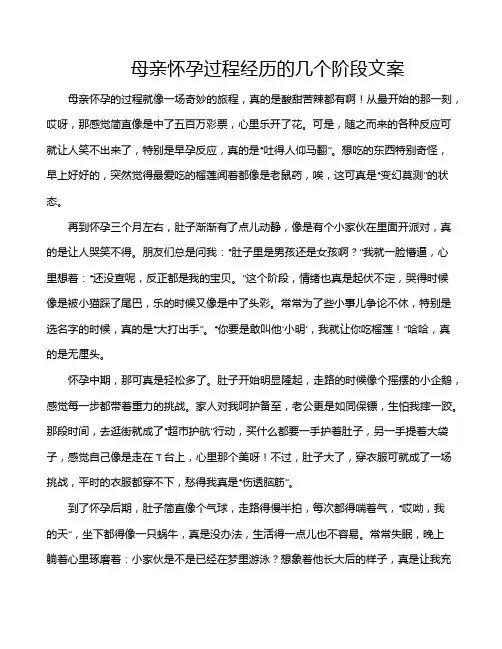 母亲怀孕过程经历的几个阶段文案