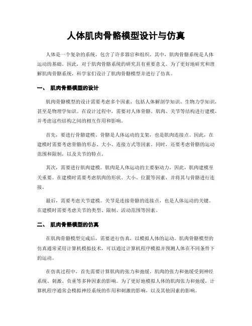 人体肌肉骨骼模型设计与仿真
