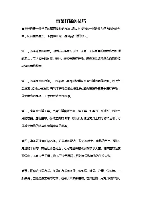 育苗扦插的技巧