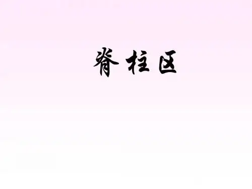 脊柱区解剖图课件