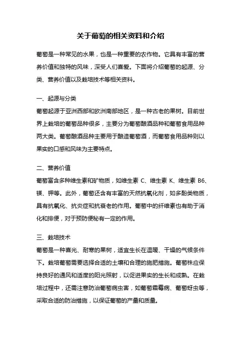 关于葡萄的相关资料和介绍