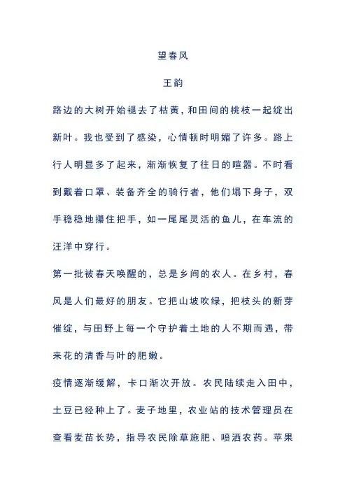 高中阅读理解及答案解析——望春风