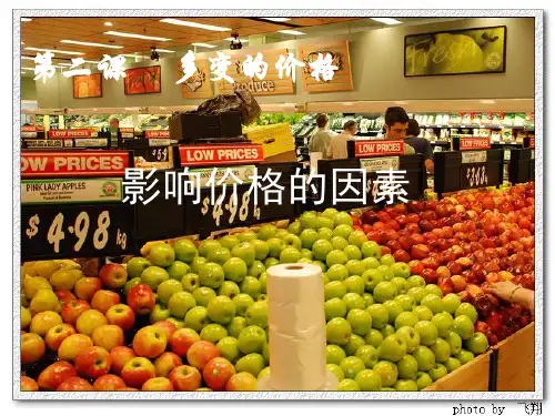 21影响价格的因素8196729604.pptx