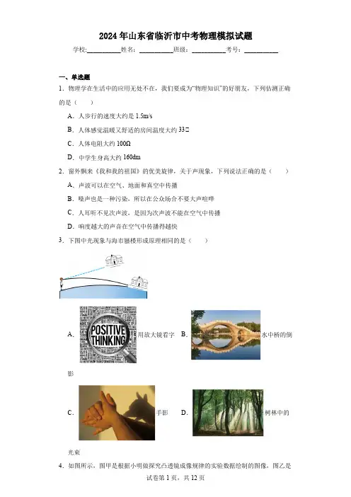 【中考压轴】2024年山东省临沂市中考物理模拟试题(附答案)