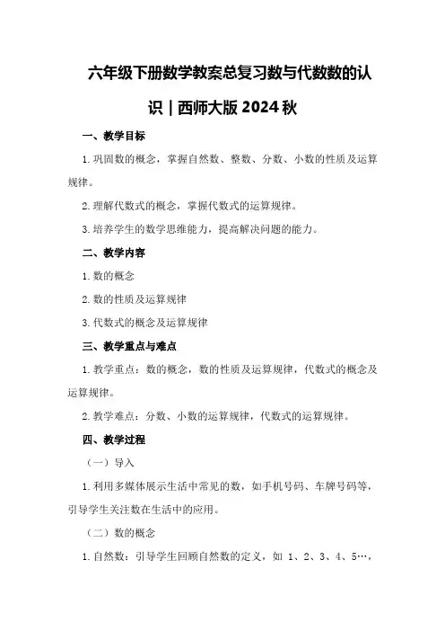 六年级下册数学教案总复习数与代数数的认识｜西师大版2024秋