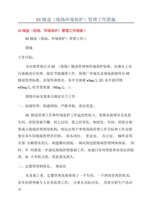 6S精益(现场环境保护)管理工作措施