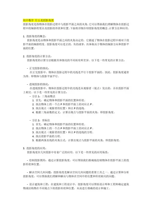 初中数学 什么是投影角度