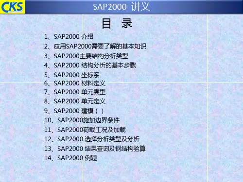 sap2000讲义