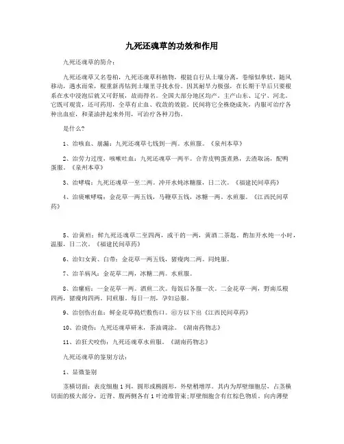九死还魂草的功效和作用