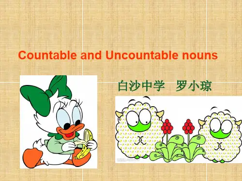 可数名词和不可数名词微课课件精编版