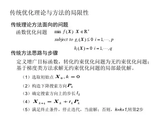 智能优化概述ppt课件