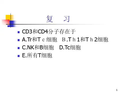 免疫学抗原递呈细胞及抗原递呈 ppt课件