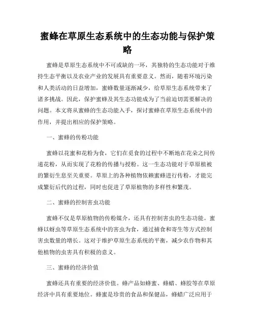 蜜蜂在草原生态系统中的生态功能与保护策略