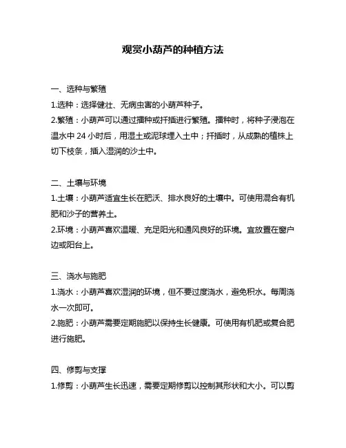 观赏小葫芦的种植方法