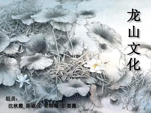 龙山文化PPT精选文档