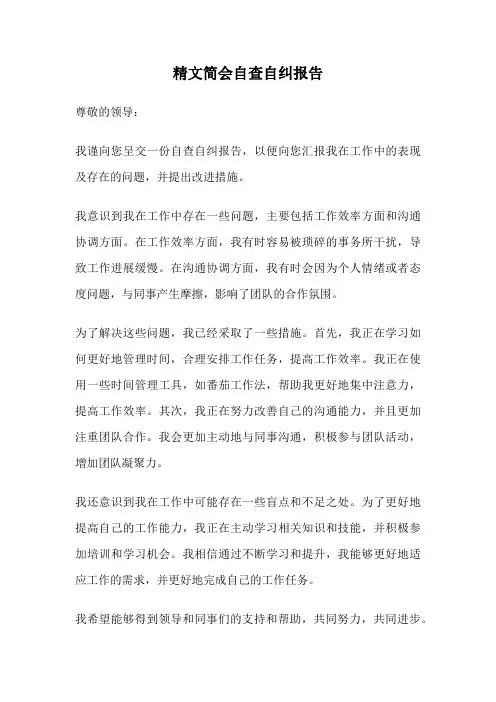 精文简会自查自纠报告