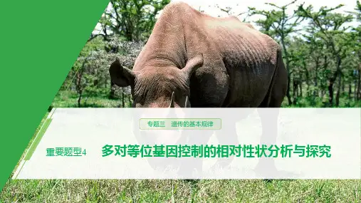 2020高考生物浙江专用大二轮复习：专题三 遗传的基本规律 重要题型4 教师课件