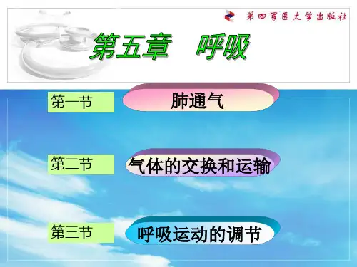 生理呼吸ppt课件